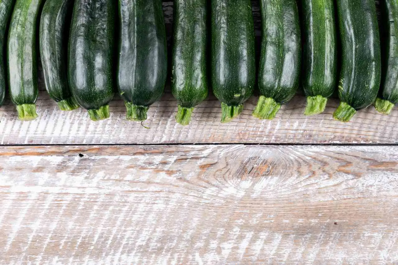 No plantes calabacines aún: si la temperatura baja de este límite morirán